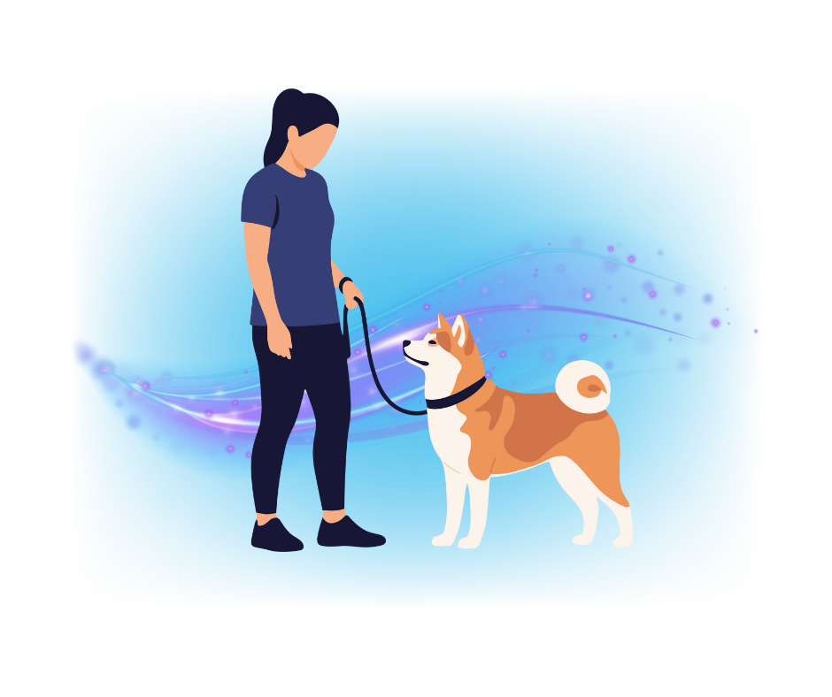 1-to-1 Dog Training